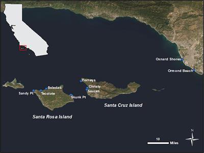 Temporal trends in anthropogenic marine macro-debris and micro-debris accumulation on the California Channel Islands